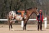 IMG_0737web.jpg
