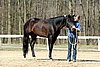 IMG_0743web.jpg
