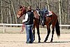 IMG_0745web.jpg