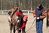 IMG_0757web.jpg
