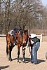 IMG_0761web.jpg