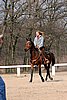 IMG_0783web.jpg
