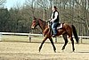 IMG_0787web.jpg