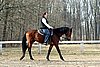 IMG_0789web.jpg