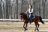 IMG_0791web.jpg