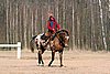 IMG_0803web.jpg
