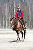 IMG_0804web.jpg