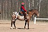 IMG_0805web.jpg