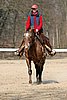IMG_0808web.jpg