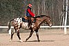 IMG_0810web.jpg