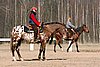 IMG_0812web.jpg
