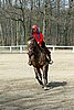 IMG_0818web.jpg