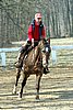 IMG_0826web.jpg