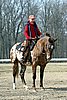 IMG_0831web.jpg