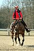 IMG_0835web.jpg