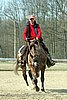 IMG_0837web.jpg