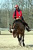 IMG_0839web.jpg