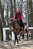 IMG_0841web.jpg