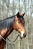IMG_0847web.jpg