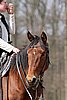 IMG_0848web.jpg