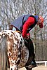 IMG_0851web.jpg