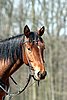 IMG_0854web.jpg