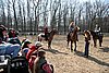 IMG_0868web.jpg