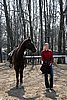 IMG_0882web.jpg