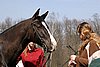 IMG_0893web.jpg