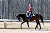 IMG_0910web.jpg