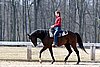 IMG_0912web.jpg