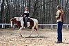 IMG_0913web.jpg