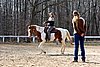 IMG_0915web.jpg