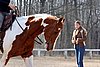 IMG_0917web.jpg