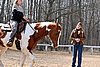 IMG_0922web.jpg