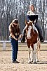 IMG_0934web.jpg