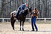 IMG_0936web.jpg