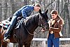 IMG_0937web.jpg