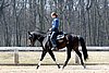 IMG_0947web.jpg