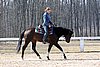 IMG_0951web.jpg