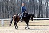 IMG_0952web.jpg