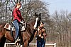 IMG_0986web.jpg