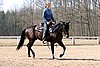 IMG_0988web.jpg