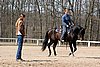 IMG_0990web.jpg