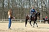 IMG_0993web.jpg