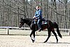 IMG_0996web.jpg