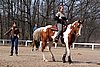IMG_1000web.jpg