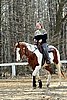 IMG_1006web.jpg