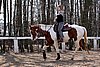 IMG_1008web.jpg