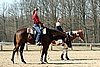 IMG_1011web.jpg